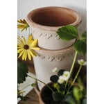 Bergs Potter Københavner Blumentopf mit Untersetzer, Raw Rosa, dekorationsbild