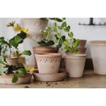 Bergs Potter Københavner Blumentopf mit Untersetzer, Raw Rosa, dekorationsbild