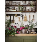 Bergs Potter Københavner Blumentopf mit Untersetzer, 10 cm, 3er-Geschenkbox, rohgrau, dekorationsbild