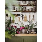 Bergs Potter Københavner Blumentopf mit Untersetzer, rohgrau, dekorationsbild