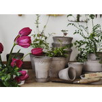 Bergs Potter Københavner Blumentopf mit Untersetzer, rohgrau, dekorationsbild