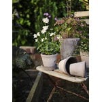Bergs Potter Københavner Blumentopf mit Untersetzer, 10 cm, 3er-Geschenkbox, rohgrau, dekorationsbild