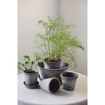 Bergs Potter Københavner Blumentopf mit Untersetzer, 10 cm, 3er-Geschenkbox, rohgrau, dekorationsbild