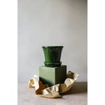 Bergs Potter Københavner pot de fleurs avec soucoupe, émeraude émaillée, image décorative
