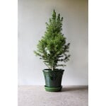 Bergs Potter Københavner pot de fleurs avec soucoupe, émeraude émaillée, image décorative