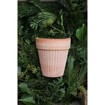 Bergs Potter Simona Blumentopf mit Untersetzer, Raw Rosa, dekorationsbild