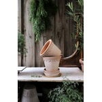 Bergs Potter Københavner flowerpot with saucer, 10 cm, 3-pack giftbox, raw rosa, decoration image