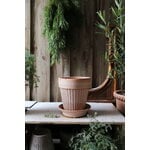 Bergs Potter Simona Blumentopf mit Untersetzer, Raw Rosa, dekorationsbild