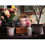 Bergs Potter Simona Blumentopf mit Untersetzer, Raw Rosa, dekorationsbild