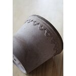 Bergs Potter Københavner Blumentopf mit Untersetzer, rohgrau, dekorationsbild
