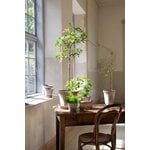 Bergs Potter Flora flowerpot, 50 cm, raw rosa, decoration image