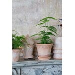Bergs Potter Københavner Blumentopf mit Untersetzer, Raw Rosa, dekorationsbild
