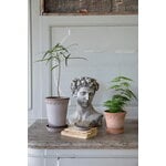 Bergs Potter Københavner Blumentopf mit Untersetzer, Raw Rosa, dekorationsbild