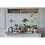 Bergs Potter Københavner Blumentopf mit Untersetzer, Raw Rosa, dekorationsbild