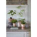Bergs Potter Københavner Blumentopf mit Untersetzer, Raw Rosa, dekorationsbild