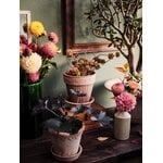 Bergs Potter Simona Blumentopf mit Untersetzer, Raw Rosa, dekorationsbild