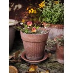 Bergs Potter Simona Blumentopf mit Untersetzer, Raw Rosa, dekorationsbild
