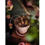 Bergs Potter Simona Blumentopf mit Untersetzer, Raw Rosa, dekorationsbild