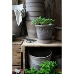 Bergs Potter Københavner Blumentopf mit Untersetzer, rohgrau, dekorationsbild