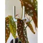 Bergs Potter Folk plant stake, Hinto, glazed pebble white, decoration image