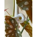 Bergs Potter Folk plant stake, Hinto, glazed pebble white, decoration image