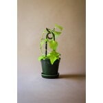 Bergs Potter Folk plant stake, Oni, glazed moss green, view 4