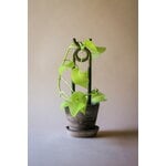Bergs Potter Folk plant stake, Oni, glazed moss green, view 3