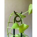 Bergs Potter Folk plant stake, Oni, glazed moss green, view 9