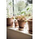 Bergs Potter Simona Blumentopf mit Untersetzer, Raw Rosa, dekorationsbild