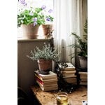 Bergs Potter Simona Blumentopf mit Untersetzer, Raw Rosa, dekorationsbild