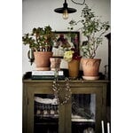 Bergs Potter Simona Blumentopf mit Untersetzer, Raw Rosa, dekorationsbild