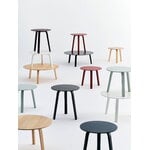 HAY Bella coffee table 45 cm, high, eucalyptus, decoration image