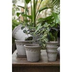 Bergs Potter Københavner Blumentopf mit Untersetzer, rohgrau, dekorationsbild