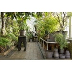 Bergs Potter Københavner Blumentopf mit Untersetzer, rohgrau, dekorationsbild
