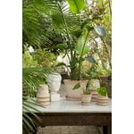 Bergs Potter Københavner Blumentopf mit Untersetzer, Raw Rosa, dekorationsbild