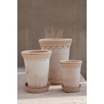 Bergs Potter Københavner Blumentopf mit Untersetzer, Raw Rosa, dekorationsbild