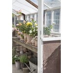 Bergs Potter Københavner Blumentopf mit Untersetzer, Raw Rosa, dekorationsbild