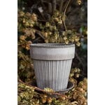 Bergs Potter Simona Blumentopf mit Untersetzer, rohgrau, dekorationsbild