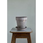 Bergs Potter Simona Blumentopf mit Untersetzer, rohgrau, dekorationsbild