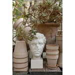 Bergs Potter Simona Blumentopf mit Untersetzer, Raw Rosa, dekorationsbild
