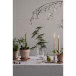 Bergs Potter Simona Blumentopf mit Untersetzer, Raw Rosa, dekorationsbild