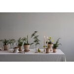 Bergs Potter Københavner Blumentopf mit Untersetzer, Raw Rosa, dekorationsbild