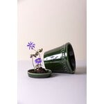 Bergs Potter Københavner pot de fleurs avec soucoupe, émeraude émaillée, image décorative