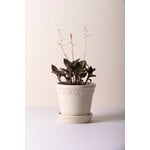 Bergs Potter Københavner maceta con plato, gres esmaltado color arena, imagen de decoración