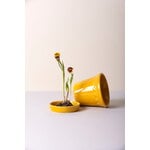 Bergs Potter Københavner kukkaruukku alusella, lasitettu amber yellow, sisustuskuva