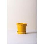 Bergs Potter Københavner kukkaruukku alusella, lasitettu amber yellow, sisustuskuva