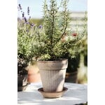 Bergs Potter Simona Blumentopf mit Untersetzer, Raw Rosa, dekorationsbild