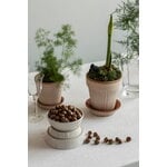 Bergs Potter Simona Blumentopf mit Untersetzer, Raw Rosa, dekorationsbild