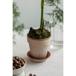 Bergs Potter Simona Blumentopf mit Untersetzer, Raw Rosa, dekorationsbild