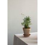 Bergs Potter Simona Blumentopf mit Untersetzer, Raw Rosa, dekorationsbild
